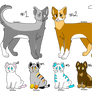 OPEN 4\6 CAT ADOPTABLES