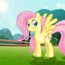 Fluttershy