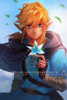 Breath of the Wild : One Year!