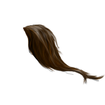 Horse Tail png