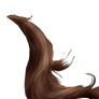 Horse Tail png 2