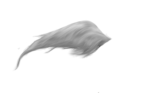 Horse Tail png by peachesrox-stock on DeviantArt