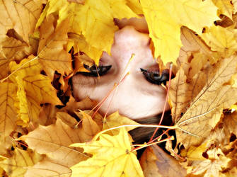 Derpy Maddie in the Fall