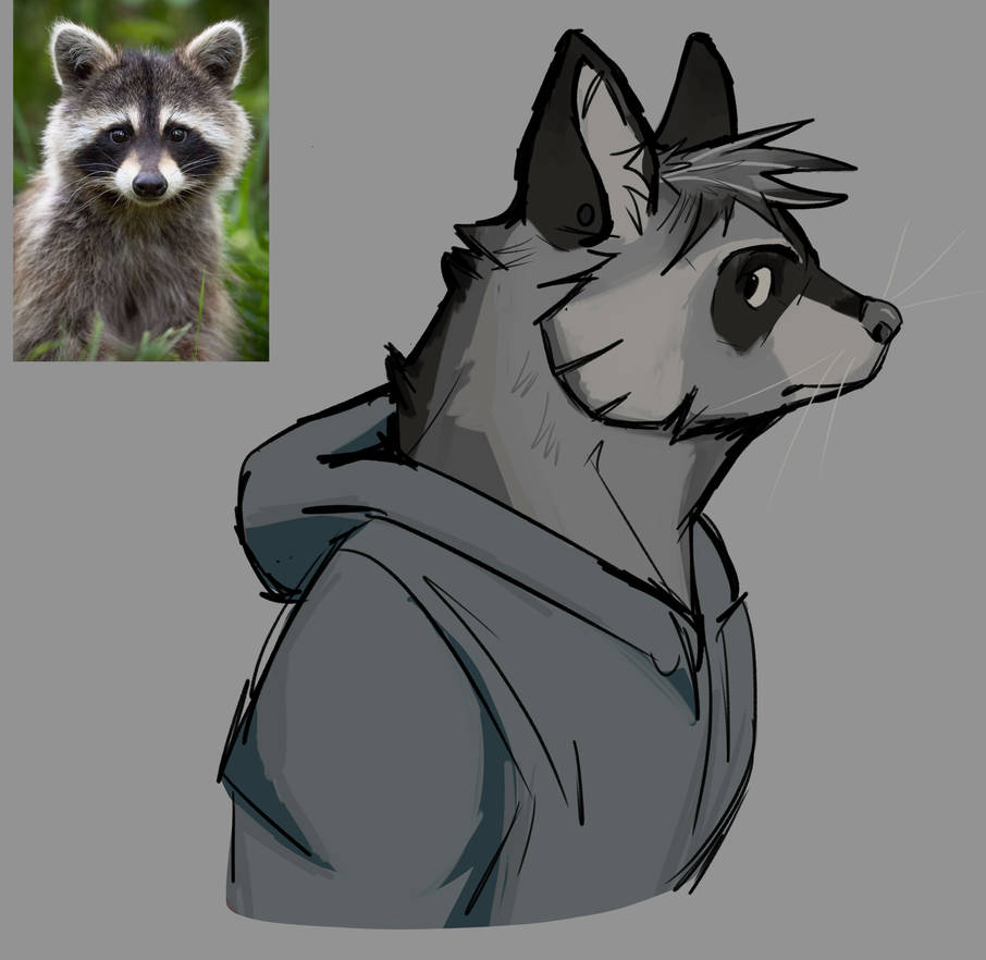 Graphic Raccon Raccon draw by Gabmanee on DeviantArt