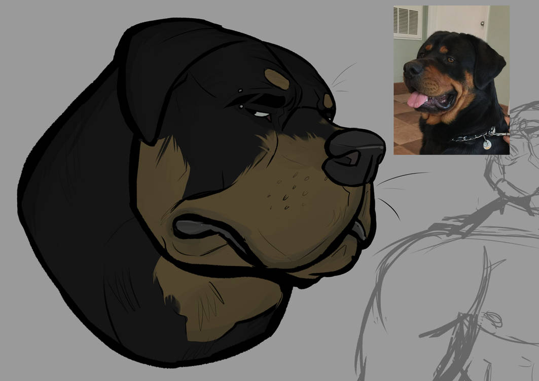 Buff Rottweiler Character Rottweiler! by Gabmanee on DeviantArt
