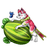 Watermelon - Gift by Fucal