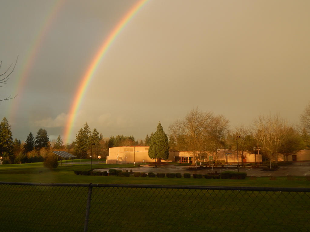 Hazel Del After a Storm