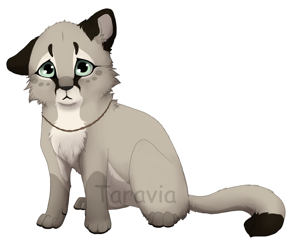 Cougar cub adoptable auction