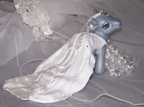 Bridal Pony