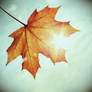 colours of autumn