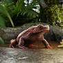 Amazonian Frog Rhaebo guttatus by kelvinartstudio