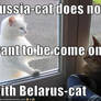 Belarus-cat and Russia-cat