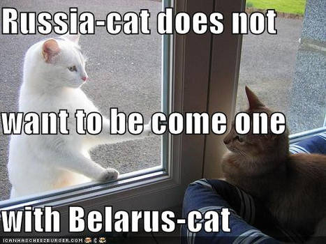 Belarus-cat and Russia-cat