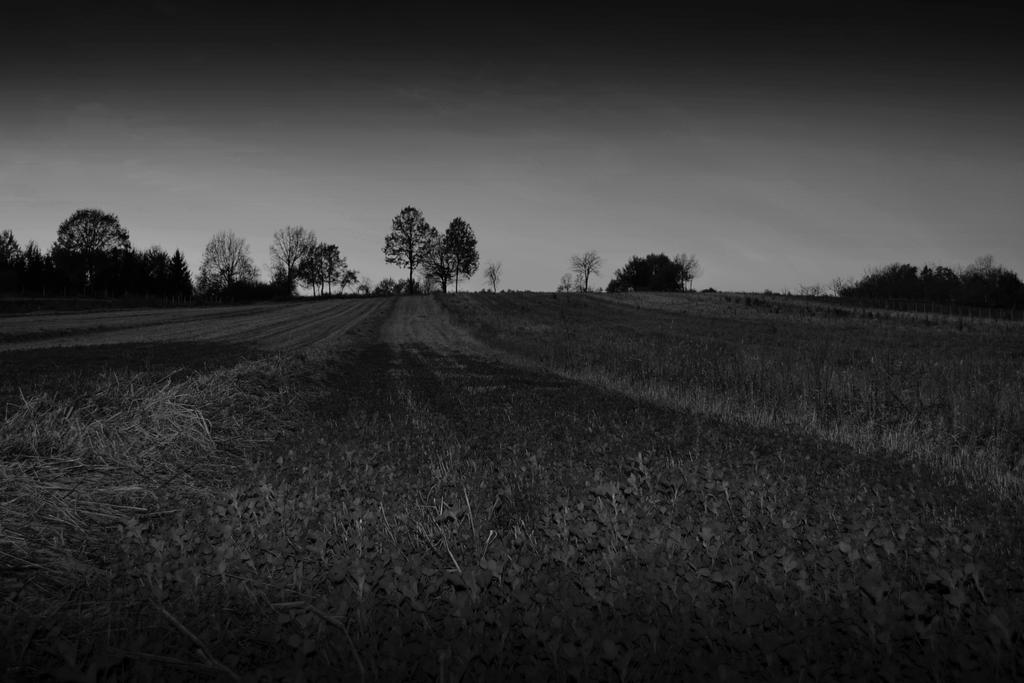 Dark field