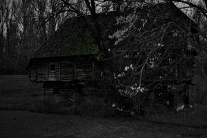 The Witch's House