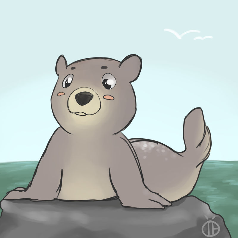 Seal-Bear