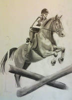 2012-11-20 Jump horse graphite a4