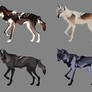 OPEN 2/4 | Wolf Adopts