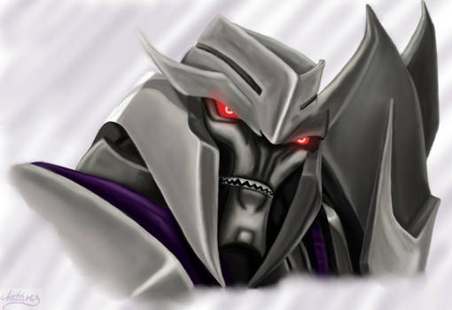 TFP: Megatron