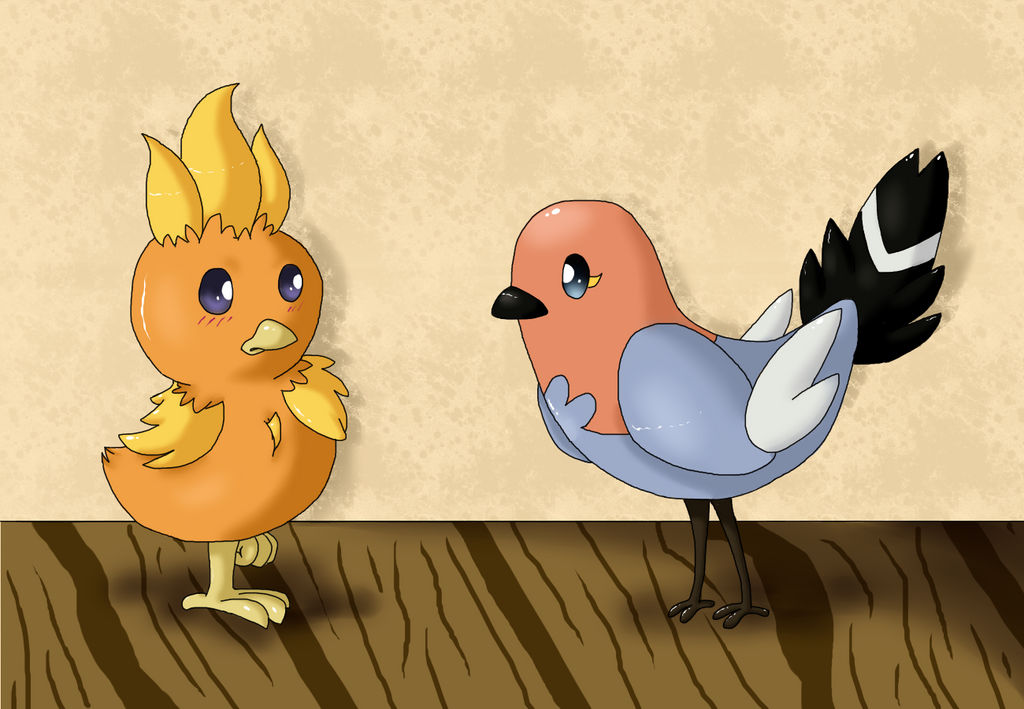 Love Is For The Birds