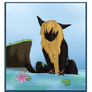 Watch Out For The Drop-