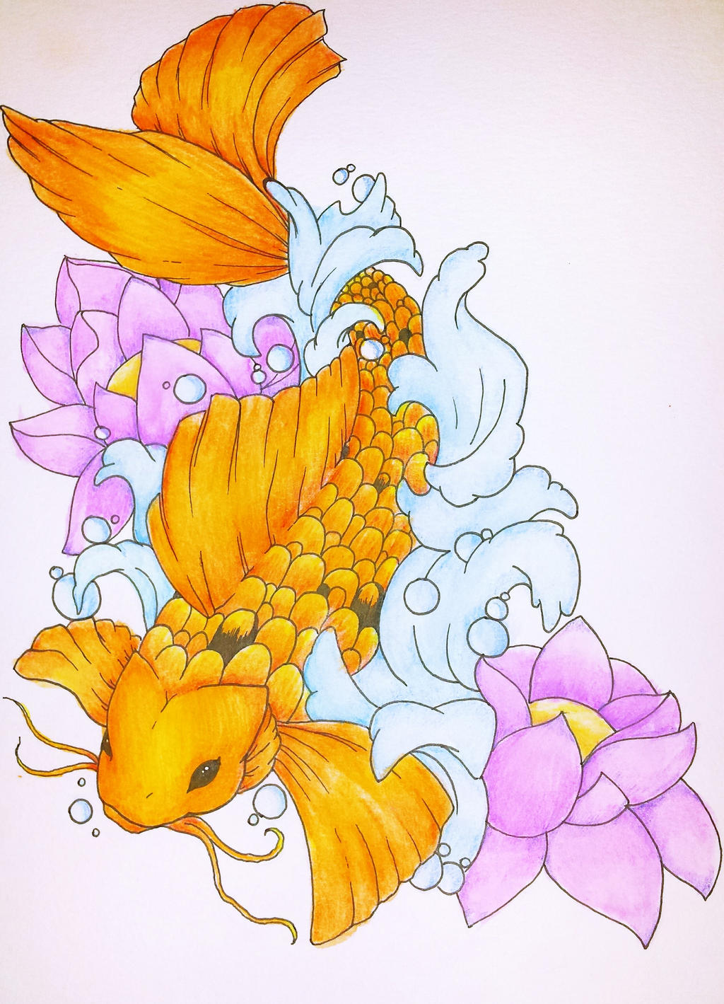 Koi