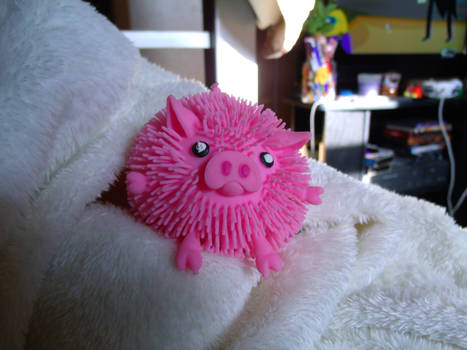 Cute Little Piggy Named Figgy