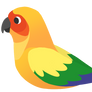 Sun conure