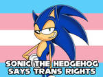 Sonic The Hedgehog says Trans Rights! by Stooopz