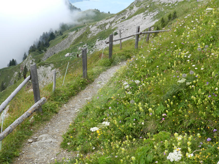 Alps by sobejazz on DeviantArt