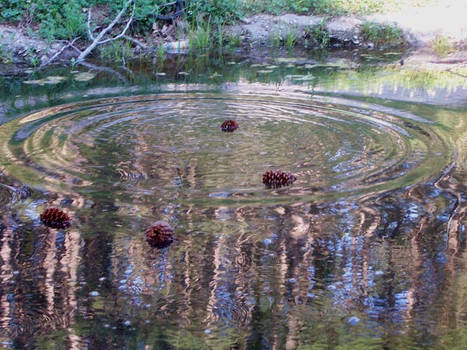 Pinecone Lake