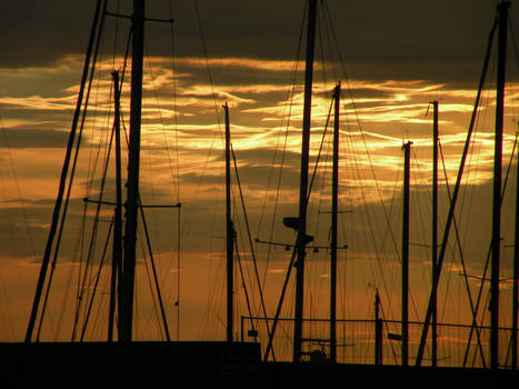 In the sky, the sails