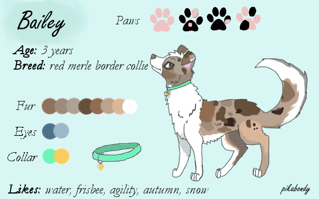 Bailey -reference sheet-