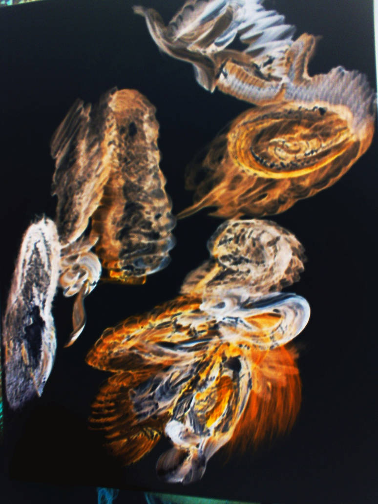 exploding phoenix by fleathemoth on DeviantArt