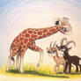 Giraffe Crossing