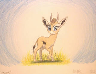 Salma the Thomson's Gazelle by TheFriendlyElephant