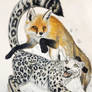 The Red Fox Jumps Over the Startled Snow Leopard