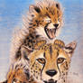 Mother Cheetah
