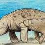 Mama Manatee