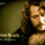 Sirius Black pure Brilliantness