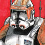 Commander Cody 7