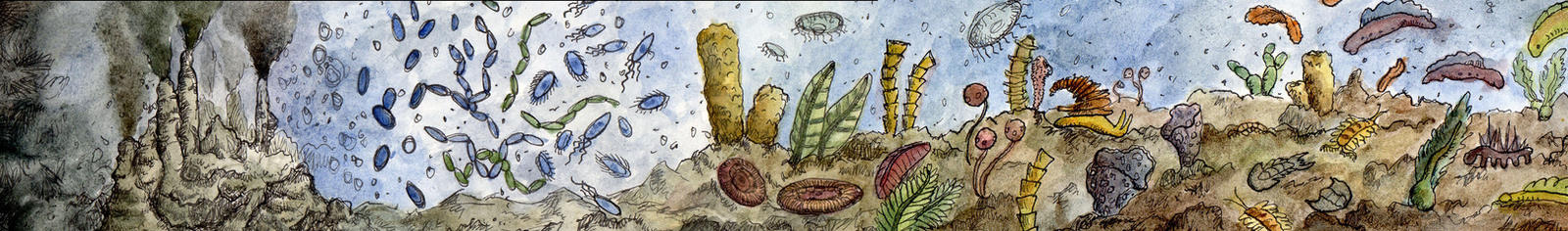 History of Life - Origin to Early Cambrian