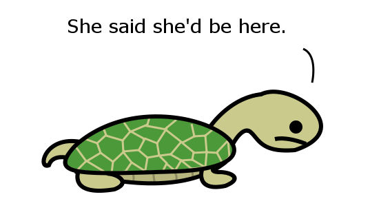 Disappointed Turtle