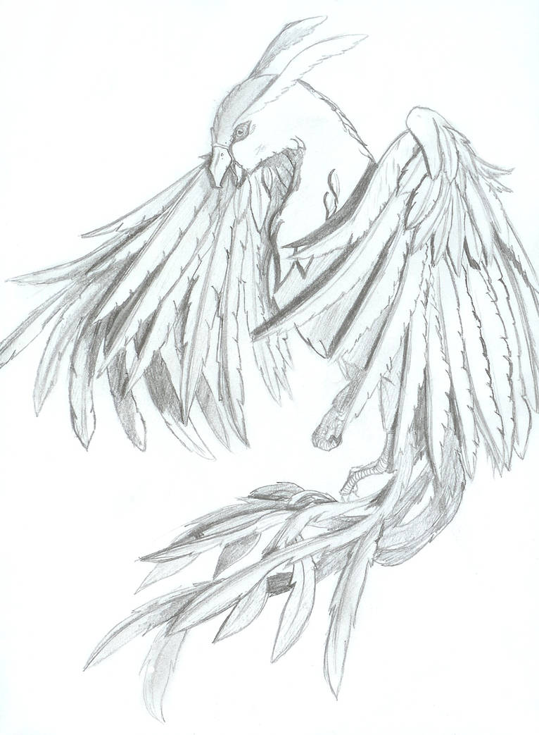 It is a picture of Current Drawing Of A Phoenix It is a picture of Current Drawing Of A Phoenix