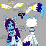 +RS+ Princess Crystal