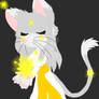 +P2A+ Stardust Cat