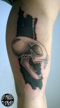 Crane de chat / Skull Cat