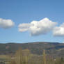 Sheep Clouds