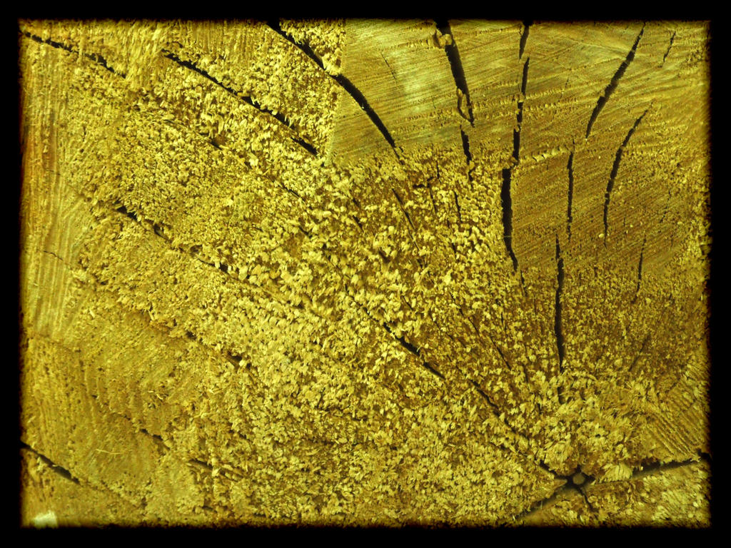 pure gold by bokancel on DeviantArt