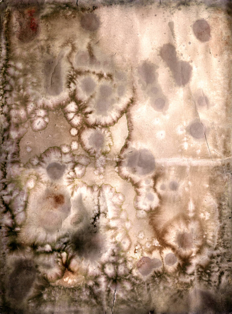 Stained Paper Texture by RunawayKid